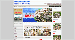 Desktop Screenshot of hashimotosuisan.com